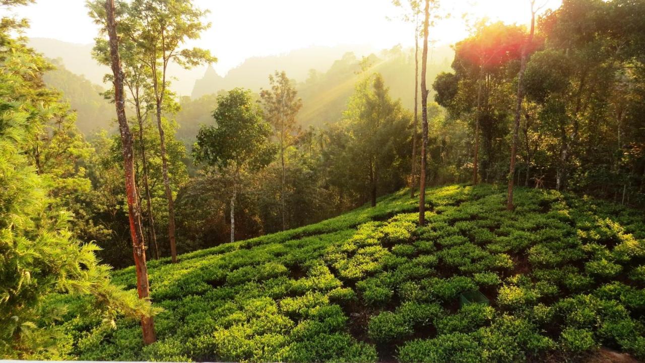 Villa Tesori Homestay Wayanad Meppādi Exterior foto